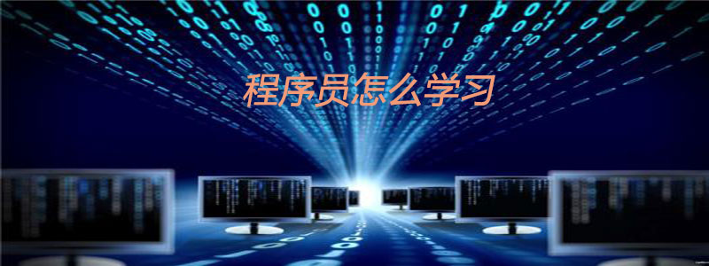 如何学习成为优秀的程序员