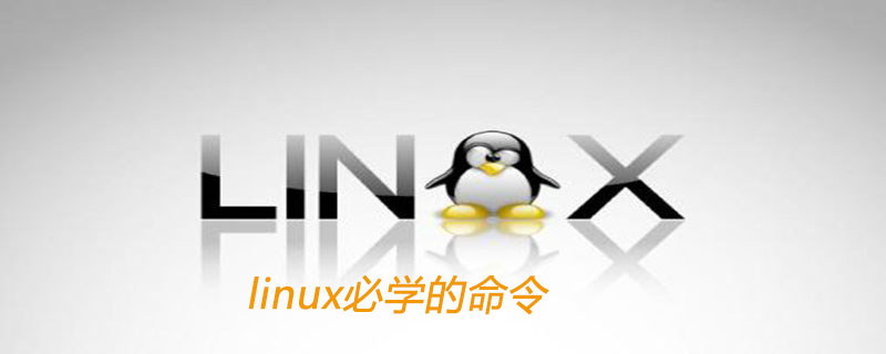 linux必学的命令