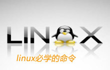 linux必学的命令