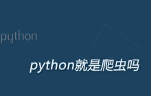 python就是爬虫吗
