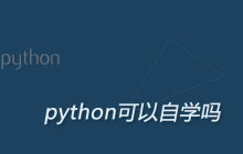 python可以自学吗