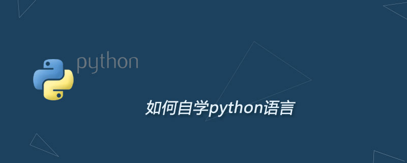 So lernen Sie selbst die Python-Sprache