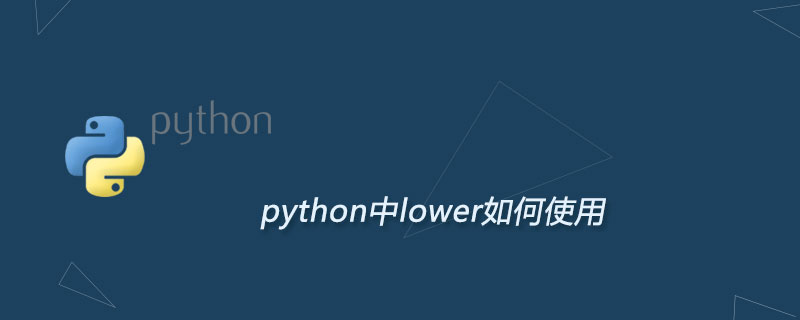 python中lower如何使用
