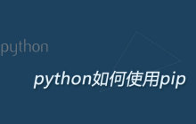python如何使用pip