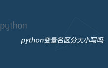 python变量名区分大小写吗