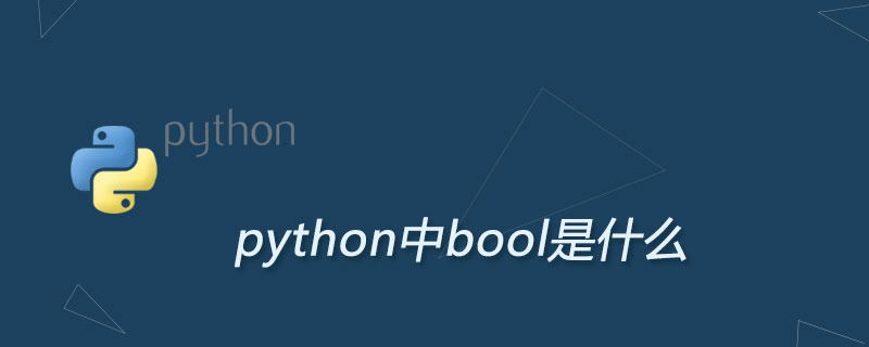 python中的bool是什么意思