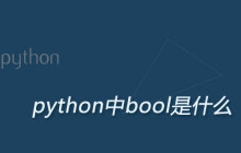 python中的bool是什么意思