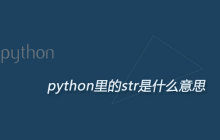 python里的str是什么意思