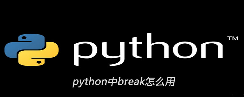 python中break怎么用