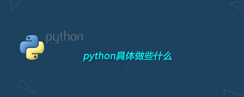 python具体做些什么