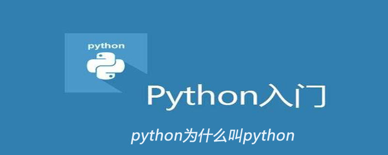 python为什么叫python