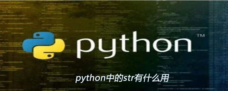 python中的str有什么用