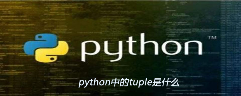 python中的tuple是什么