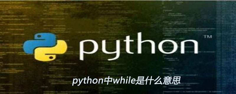 Python で while は何を意味しますか