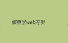 哪里学web开发