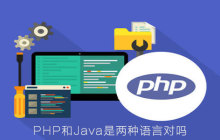 PHP和Java是两种语言对吗