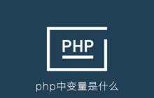 php中变量是什么