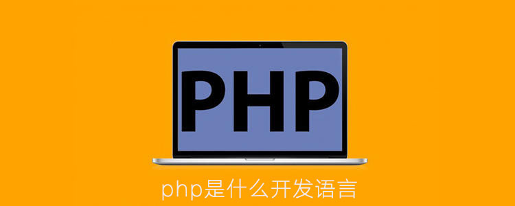 php是什么开发语言