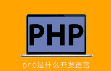 php是什么开发语言