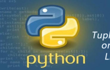 Tuple和List中，为什么只有前者才可以作为字典的key？