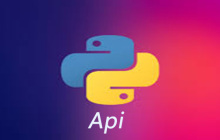 python如何调用api接口