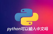 python可以输入中文吗