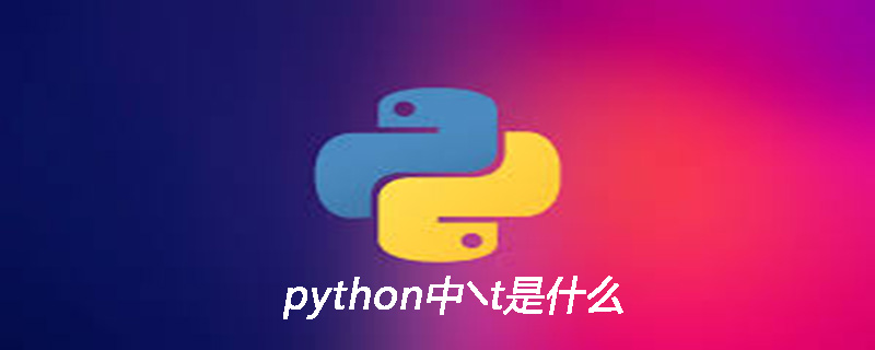 python中╲t是什么