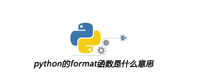 python的format函数是什么意思
