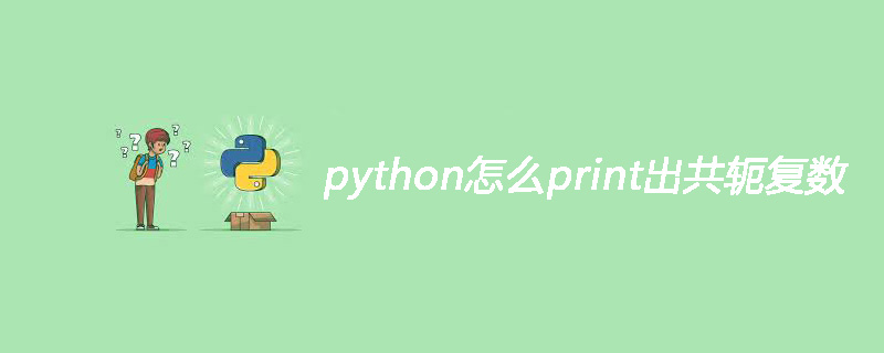 python怎么print出共轭复数