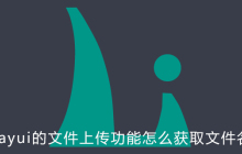 layui的文件上传功能怎么获取文件名