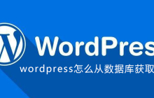 wordpress怎么从数据库获取数据