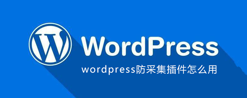 wordpress防采集插件怎么用-小浪學習網