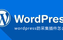 wordpress防采集插件怎么用