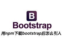 用npm下载bootstrap后怎么引入