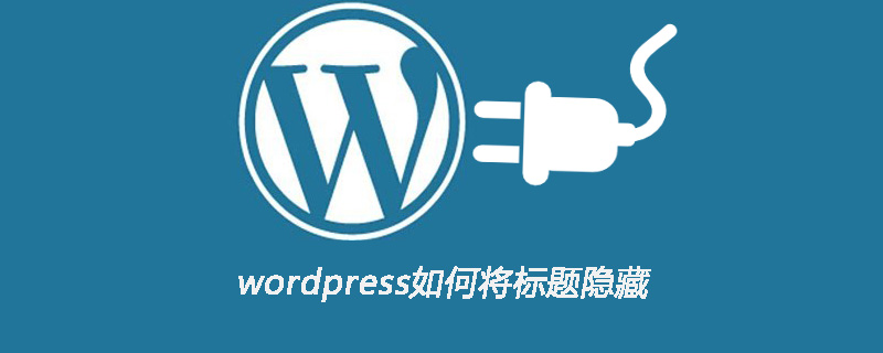 wordpress如何將標(biāo)題隱藏-小浪學(xué)習(xí)網(wǎng)