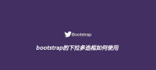 So verwenden Sie das Dropdown-Mehrfachauswahlfeld von Bootstrap