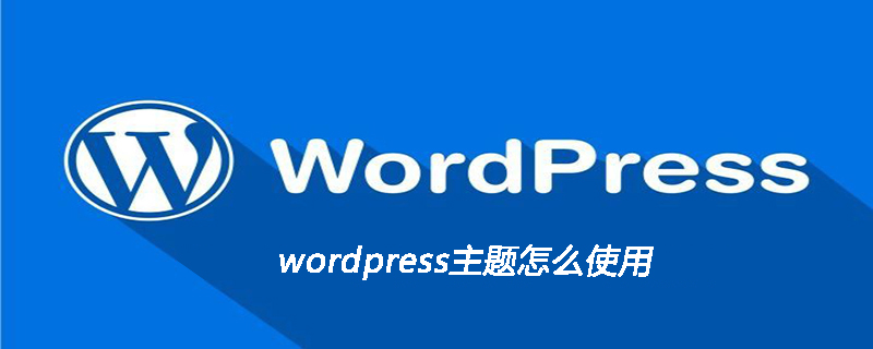 wordpress主题怎么使用-小浪学习网