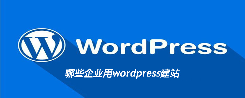 哪些企業用wordpress建站-小浪學習網