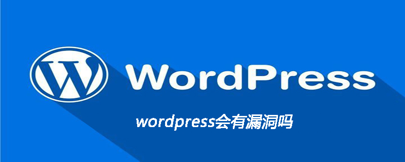 wordpress會有漏洞嗎-小浪學(xué)習(xí)網(wǎng)