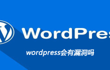 wordpress会有漏洞吗