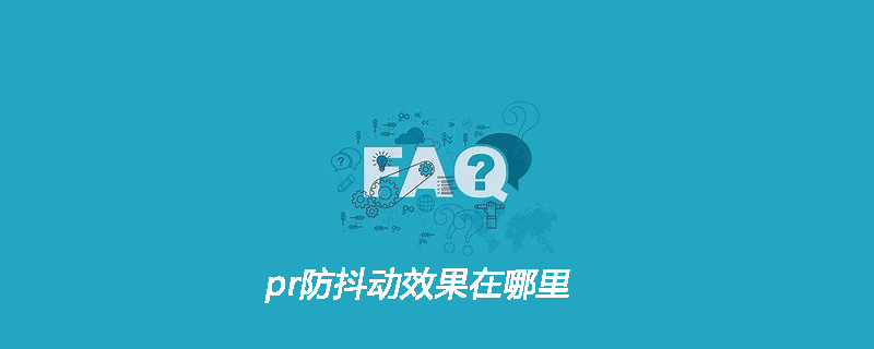 pr防抖动效果在哪里