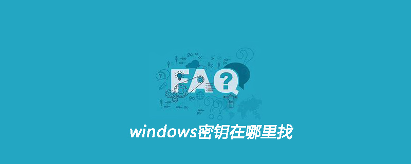 windows密钥在哪里找