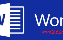 word怎么分节