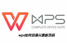 wps如何目录只更新页码
