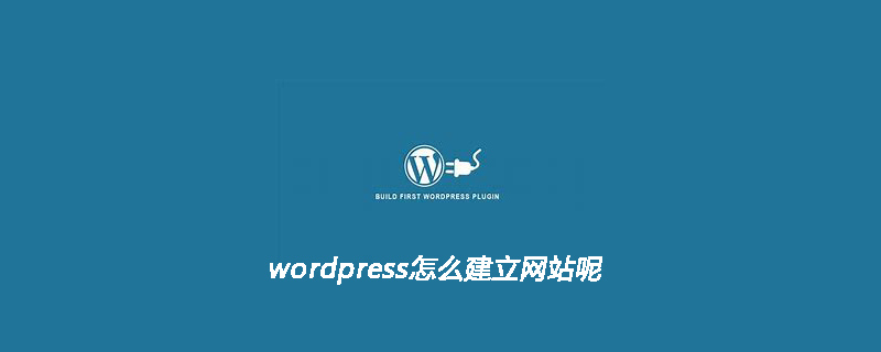 wordpress怎么建立網站呢-小浪學習網