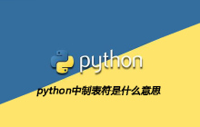 python中制表符是什么意思