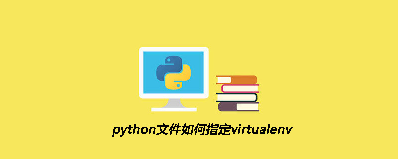 python文件如何指定virtualenv