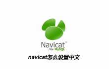 navicat怎么设置中文