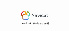 How to view navicat execution plan