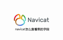 navicat怎么查看表的字段